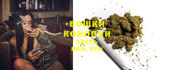 гидра Инсар