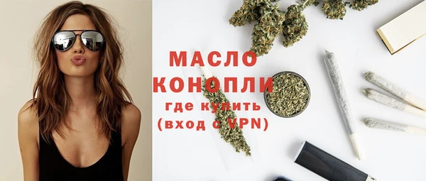 гидра Инсар