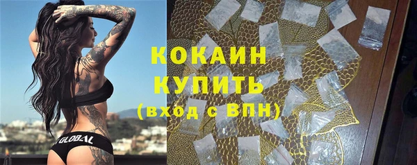 гидра Инсар