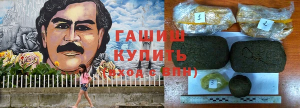 гидра Инсар