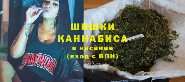 гидра Инсар
