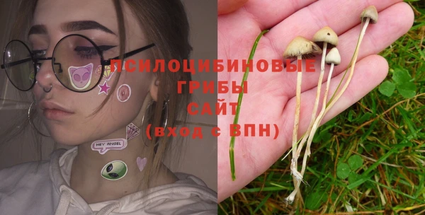 прущие крисы Иннополис