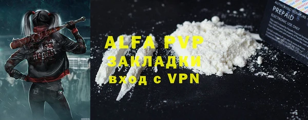 гидра Инсар