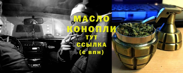 гидра Инсар
